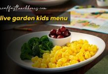Olive Garden Kids Menu Prices - [Updated List]